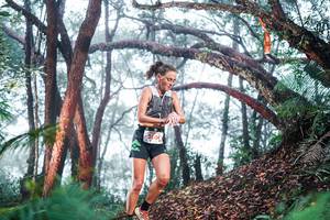 BIB: 
                            <button type="button" onclick="openModal(26295191)" class="btn btn-primary btn-sm float-right btn-popup" data-toggle="modal" data-target=".modal-high-quality">
                        <i class="fas fa-shopping-cart"></i> Add to Cart
                    </button>
                                            <button type="button" onclick="isThisMe(26295191, true)" class="btn btn-success btn-sm float-right btn-popup btn-isme hidden" data-toggle="tooltip" data-placement="bottom" title="นี่คือรูปของคุณใช่ไหม คลิกที่นี่เพื่อเอาเข้าอัลบั้ม">
                        <i class="fas fa-plus"></i> Add to album
                    </button>
                    <button type="button" onclick="isThisMe(26295191, false)" class="btn btn-warning btn-sm float-right btn-popup btn-isnotme hidden">
                        <i class="fas fa-ban"></i> Remove from album
                    </button>